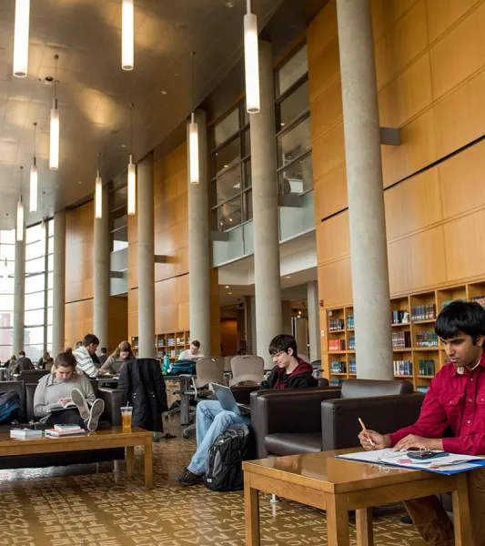 Students studying in library